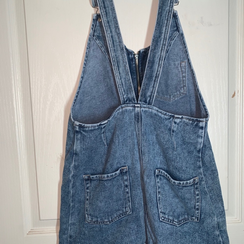 Overall Zip Up dress